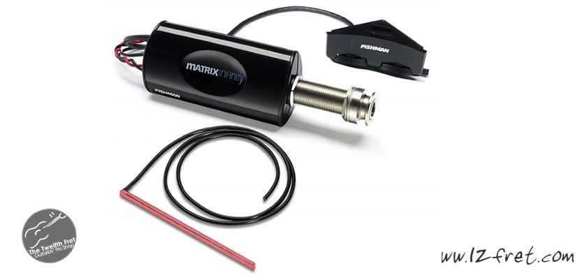 Best fishman discount acoustic pickup