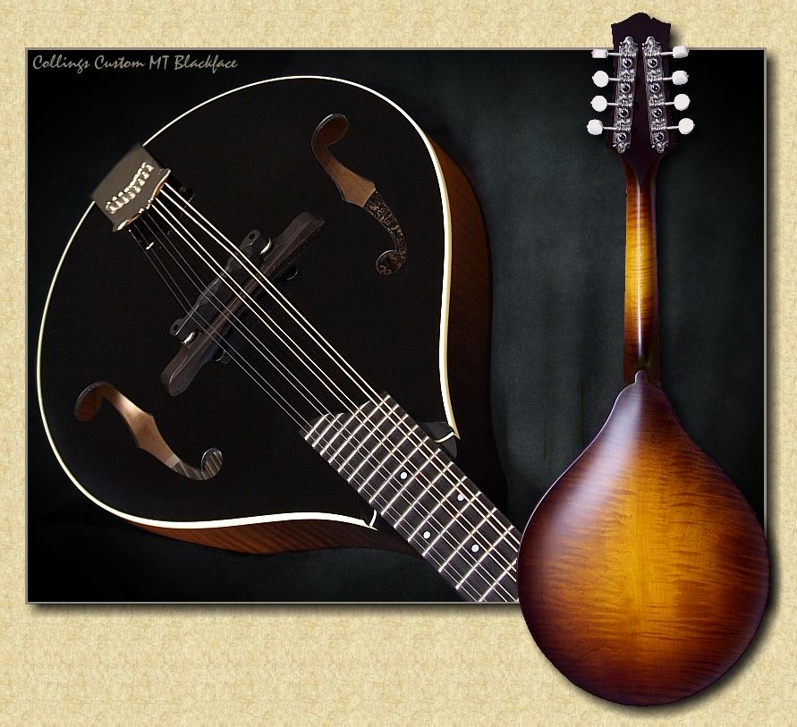 dating kentucky mandolins Home / inventory / previously sold / kentucky km1500 – mandolin – sold sold out kentucky km1500 – mandolin – sold kentucky km1500 sn 91603 (1991 . dating kentucky mandolins Home / inventory / previously sold / kentucky km1500 – mandolin – sold sold out kentucky km1500 – mandolin – sold kentucky km1500 sn 91603 (1991 .