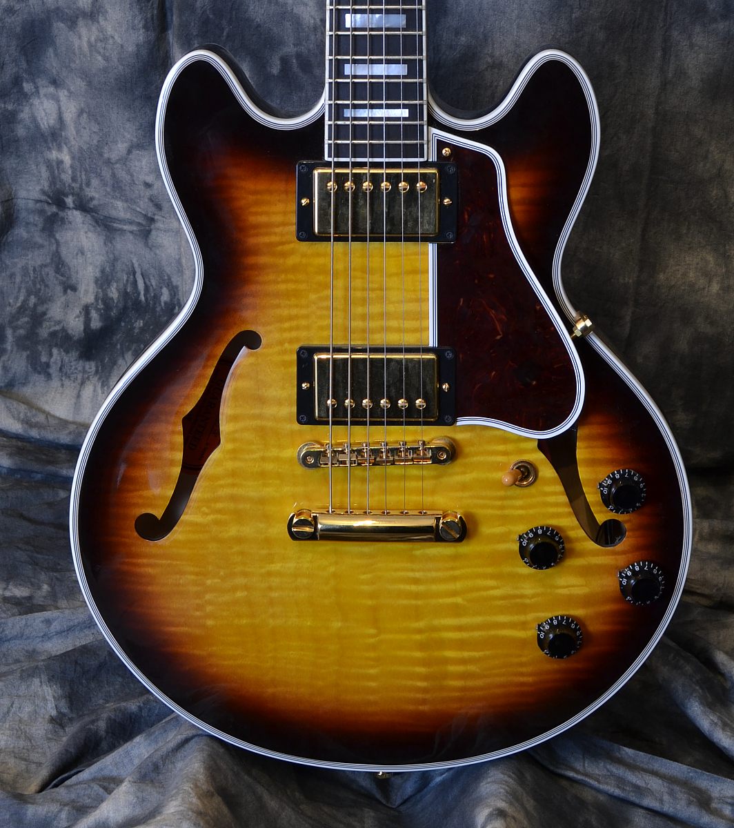 Gibson ES359 2009