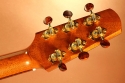 alaistar-miller-00-braz-2008-cons-head-rear-1