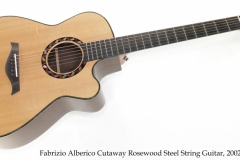 Fabrizio Alberico Cutaway Rosewood Steel String Guitar, 2002 Full Front View