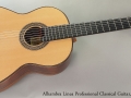 Alhambra Linea Profesional Classical Guitar, 2012 Full Front View