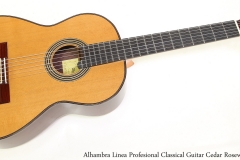 Alhambra Linea Profesional Classical Guitar Cedar Rosewood   Full Front View