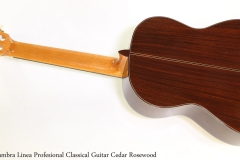 Alhambra Linea Profesional Classical Guitar Cedar Rosewood   Full Rear View