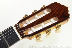 Alhambra Linea Profesional Classical Guitar Cedar Rosewood   Head Front View