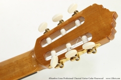 Alhambra Linea Profesional Classical Guitar Cedar Rosewood   Head Rear View