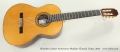 Alhambra Luthier Aniversario Altiplano Classical Guitar, 2015 Full Front View