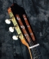 alhambra_luthier_india_head_1