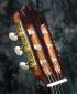 alhambra_luthier_india_head_2