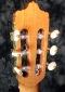 alhambra_luthier_india_head_detail_2