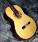 alhambra_luthier_india_top_3