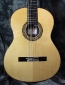 alhambra_luthier_india_top_4