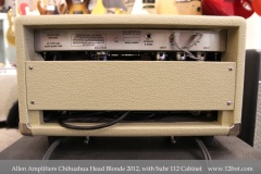 Allen Chihuahua Head Blonde with Suhr 112 Cabinet 2012 Head Rear View
