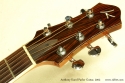 Anthony Karol parlor guitar 2002 head front