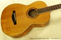 Anthony Karol parlor guitar 2002 top