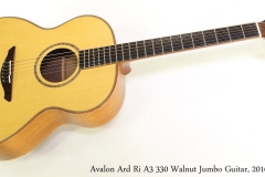 Avalon Ard Ri A3 330 Walnut Jumbo Guitar, 2016 Full Front View