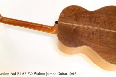 Avalon Ard Ri A3 330 Walnut Jumbo Guitar, 2016 Full Rear View