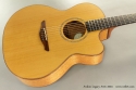 Avalon Legacy A10c Jumbo Cutaway 2004 top