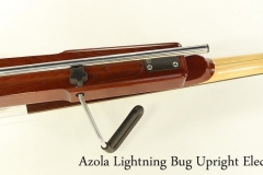 Azola Lightning Bug Upright Electric Bass, 2009 Full Rear View