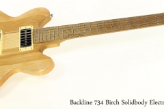 Backline 734 Birch Solidbody Electric, 2019 Full Front View