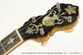 Bacon Professional FF Special 5 String Open Back Banjo, 1914 Head Front View