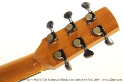 G W Barry Mod C CW Malaysian Blackwood with Arm Rest, 2019 Head Rear View