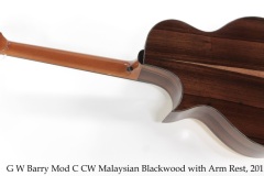 G W Barry Mod C CW Malaysian Blackwood with Arm Rest, 2019 Full Rear View