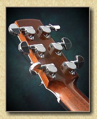 Barry_Concert_Custom_PB_guitar_b