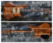 BC Rich_Eagle_1980(C)