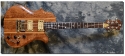 BC Rich_Seagull_1980(C)