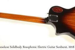 Beard Resoluxe Solidbody Resophonic Electric Guitar Sunburst, 2018 Full Rear View