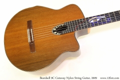 Beardsell 9C Cutaway Nylon String Guitar, 2009 Top View