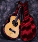 benko_guitar_in_case