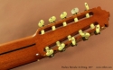 Paulino Bernabe 10-String Classical 1977 head rear