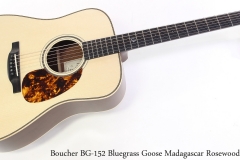 Boucher BG-152 Bluegrass Goose Madagascar Rosewood Full Front View