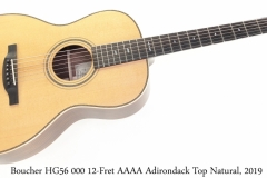 Boucher HG56 000 12-Fret AAAA Adirondack Top Natural, 2019 Full Front View