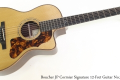 Boucher JP Cormier Signature 12-Fret Guitar No.3 Full Rear View