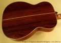 bourgeois-00-signature-adirondack-madagascar-ss-back-1