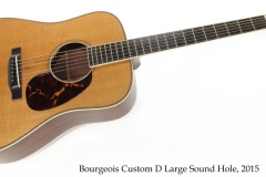 Bourgeois Custom D LSH, 2015 Full Front View