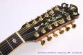 Bozo Podunavac Bell Western 12 String Guitar, 1989 Head Front View