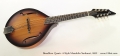 Breedlove Quartz A-Style Mandolin Sunburst, 2002 Full Front View