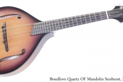 Breedlove Quartz OF Mandolin Sunburst, 2005 Full Front View