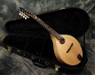 breedlove_american_00_front_1