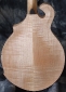 Breedlove_Quartz_FF_mandolin_J9BK