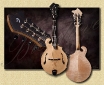 Breedlove_Quartz_FF_mandolin_J9a