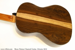 Bruce Haines Classical Guitar, Ziricote 2019 Back View