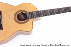 Bruce West Cutaway Classical Brazilian Rosewood, 2016 Full Front View