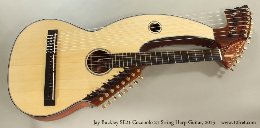Jay Buckley SE21 Cocobolo 21 String Harp Guitar, 2015 Full Front View