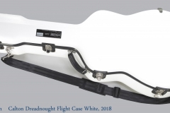 Calton Dreadnought Flight Case White, 2018 Closed View