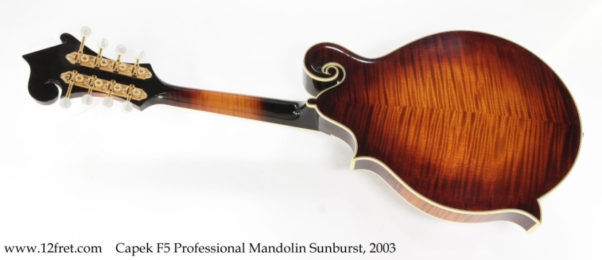 Capek F5 Professional Mandolin Sunburst, 2003 Full Rear View